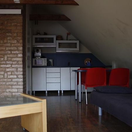 The Jolly Man 2 Apartment Vilnius Luaran gambar