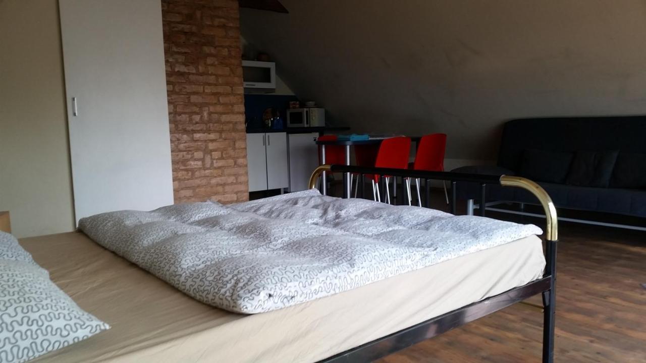 The Jolly Man 2 Apartment Vilnius Luaran gambar